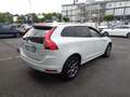 Volvo XC60 D3 Ocean Race 2.HD*GEARTRONIC*LEDER*XENON Weiß - thumbnail 6