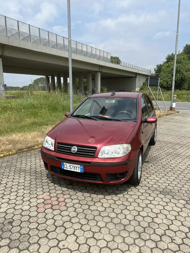 Fiat Punto 5p 1.2 Dynamic - 2