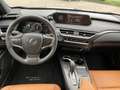 Lexus UX 300e EXECUTIVE PAKET** Grün - thumbnail 5