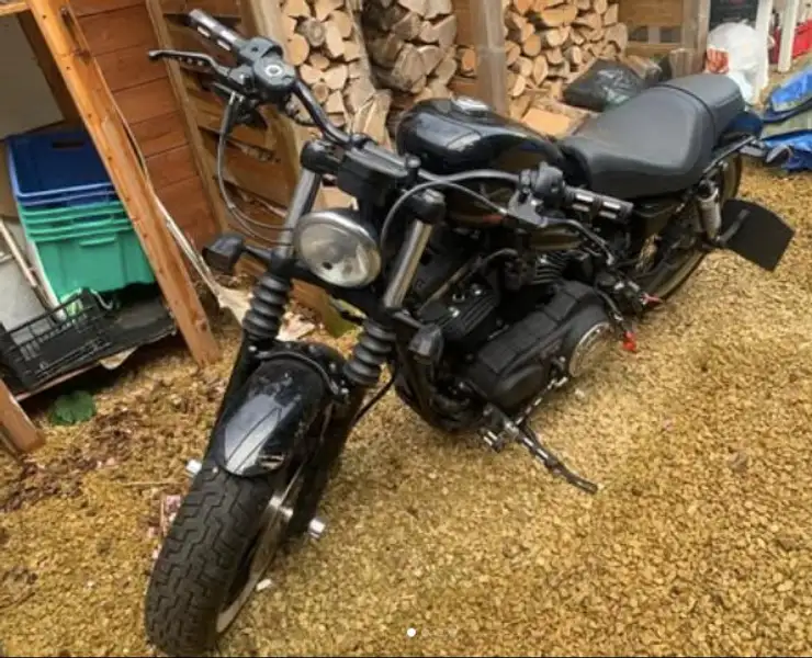 Harley-Davidson Sportster Forty Eight - foto 3