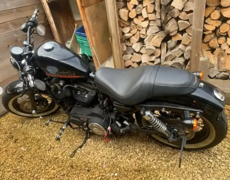 Harley-Davidson Sportster Forty Eight - foto 4