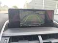 Lexus NX 300 300h Business Navigation 2WD Gris - thumbnail 11