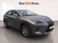 Lexus NX 300 300h Business Navigation 2WD Gris - thumbnail 1