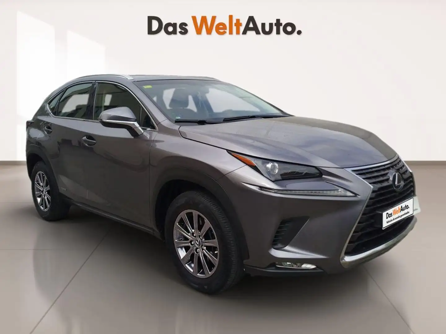 Lexus NX 300 300h Business Navigation 2WD Gris - 1