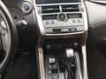 Lexus NX 300 300h Business Navigation 2WD Gris - thumbnail 10