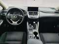 Lexus NX 300 300h Business Navigation 2WD Gris - thumbnail 4