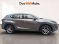Lexus NX 300 300h Business Navigation 2WD Gris - thumbnail 3