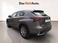Lexus NX 300 300h Business Navigation 2WD Gris - thumbnail 2