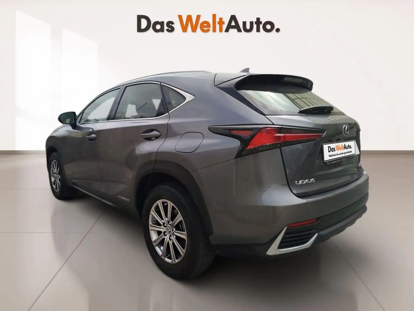 Lexus NX 300 300h Business Navigation 2WD Gris - 2