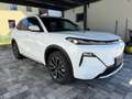Geely Starray EM-i Launch Edition Max Plug-In Hybrid Neuwagen Weiß - thumbnail 7