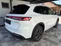 Geely Starray EM-i Launch Edition Max Plug-In Hybrid Neuwagen Weiß - thumbnail 5