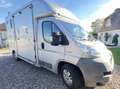 Peugeot Boxer Pferdetransporter Silber - thumbnail 3