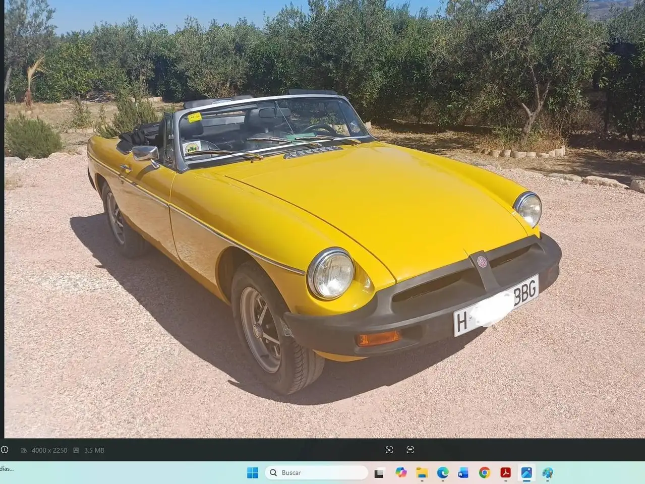 MGB, foto 6