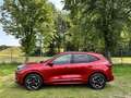 Ford Kuga 2.5 PHEV 243PK ST-Line X | TECHNOLOGY PACK | ADAP. Rojo - thumbnail 5