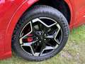 Ford Kuga 2.5 PHEV 243PK ST-Line X | TECHNOLOGY PACK | ADAP. Rojo - thumbnail 29