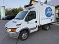 Iveco Daily 35C10HPI Frigo ATP FNAX 2 28 Xarios Portata 780 kg Weiß - thumbnail 3