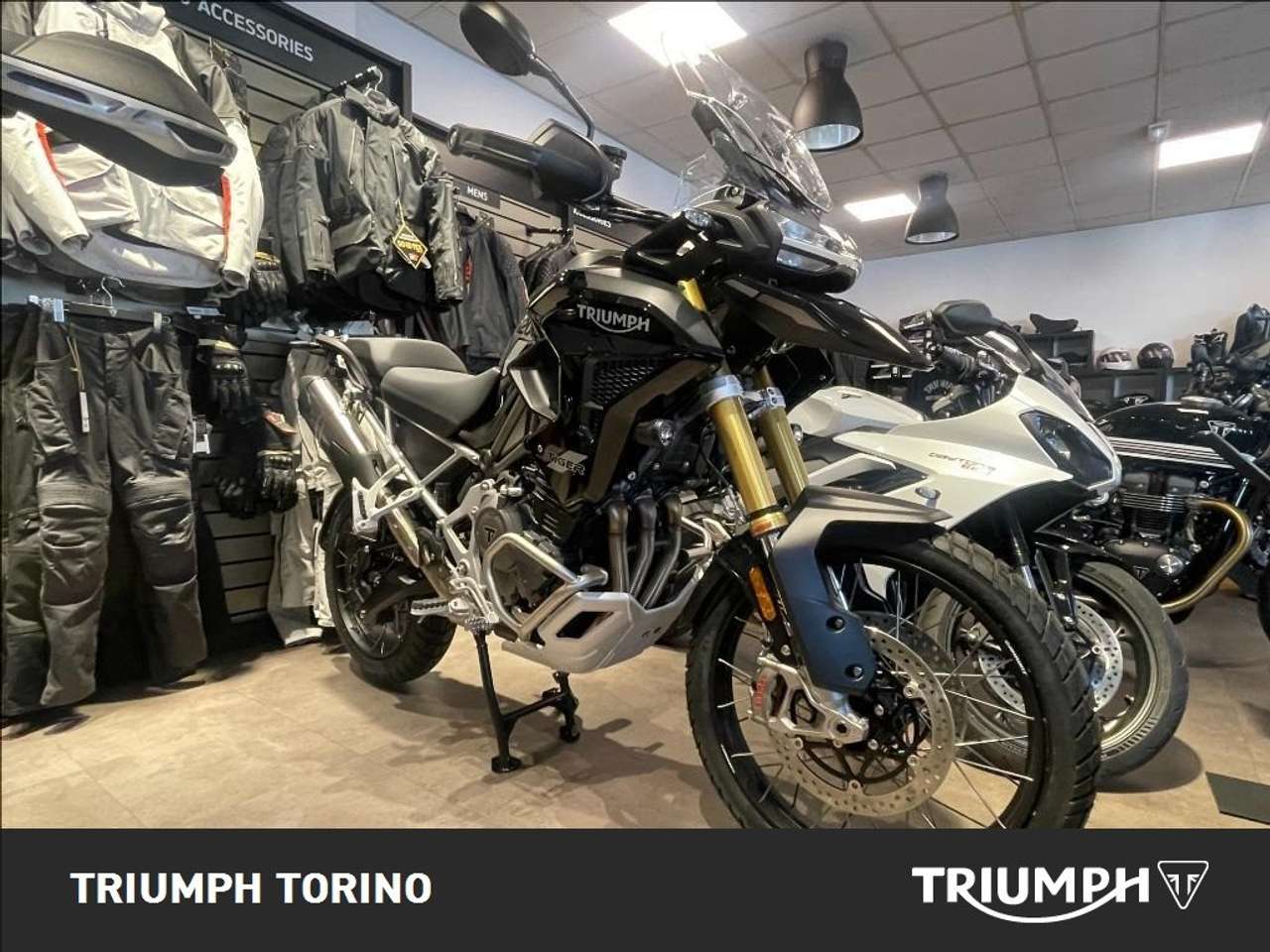 Triumph Tiger 1200 Rally Pro Abs