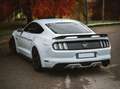 Ford Mustang GT 5.0 V8 NO SUPERBOLLO Blanc - thumbnail 1