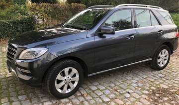 BlueTec 4Matic EUR6 / LEDER / SPOORASSISTENT