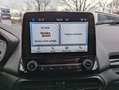 Ford EcoSport ST-Line 125PS # SYNC3 #WINTERPAKET Gris - thumbnail 15