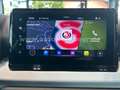 SEAT Arona Road Ed. 1.0 TSI 116PS DSG *CAM*NAV*FULL L Gris - thumbnail 8