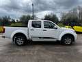 Nissan Navara IVA COMPRESA Blanc - thumbnail 4