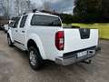Nissan Navara IVA COMPRESA Blanc - thumbnail 6