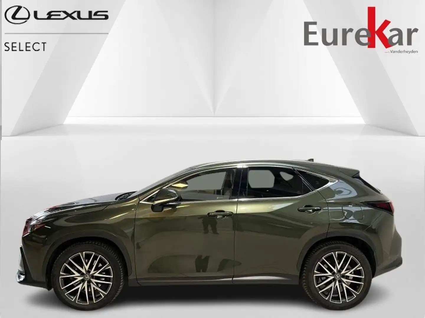 Lexus NX 450h+ EXECUTIVE-LINE Vert - 2