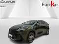 Lexus NX 450h+ EXECUTIVE-LINE Vert - thumbnail 1