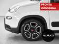 Fiat Panda 1.0 FireFly S&S Hybrid City Life - thumbnail 6