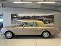 Bentley Continental Cabriolet - 2 türig - limited Edition 1 aus 25 Beige - thumbnail 2