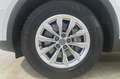 Audi Q5 35 TDI MHEV S tronic Business White - thumbnail 12