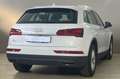 Audi Q5 35 TDI MHEV S tronic Business White - thumbnail 7