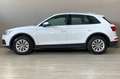Audi Q5 35 TDI MHEV S tronic Business White - thumbnail 10