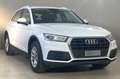 Audi Q5 35 TDI MHEV S tronic Business White - thumbnail 5