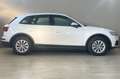 Audi Q5 35 TDI MHEV S tronic Business White - thumbnail 6