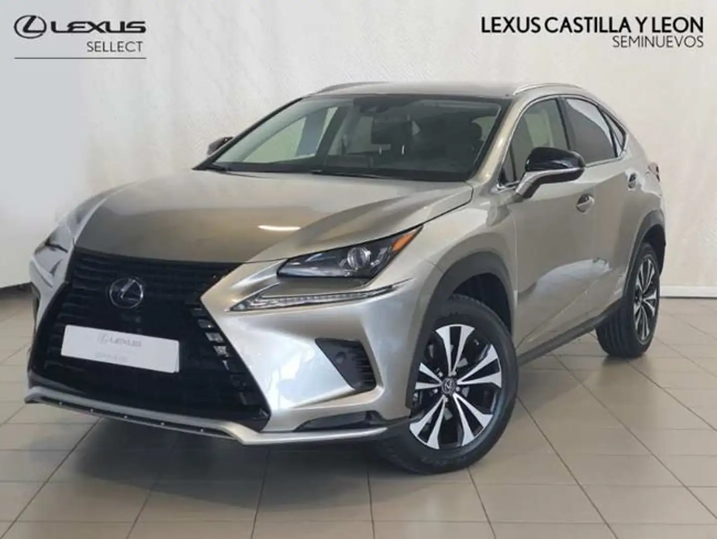 Lexus NX 300 300h Premium 2WD Gris - 1