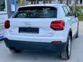Audi Q2 1.4 TFSI basis 1.Hand/LED/RCam/Navi/AUDISheft Weiß - thumbnail 4