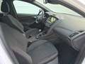 Ford Focus ST-Line Weiß - thumbnail 19