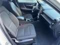 Volvo XC40 XC40 D3 Geartronic Momentum Bianco - thumbnail 12