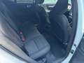 Volvo XC40 XC40 D3 Geartronic Momentum Bianco - thumbnail 13