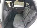 Nissan Qashqai 1,3 DIG-T MHEV 4x4 Tekna Aut. *ab €31.990,-* Weiß - thumbnail 12