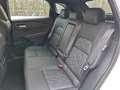 Nissan Qashqai 1,3 DIG-T MHEV 4x4 Tekna Aut. *ab €31.990,-* Weiß - thumbnail 13