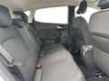 Ford Fiesta 5p 1.5 ecoblue Titanium 85cv my19.5 Bianco - thumbnail 14
