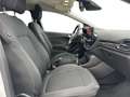 Ford Fiesta 5p 1.5 ecoblue Titanium 85cv my19.5 Bianco - thumbnail 16