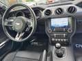 Ford Mustang Shelby GT 5.0 V8 Performance *6Gang*LED* Nero - thumbnail 19