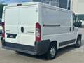 Citroen Jumper Kasten 30 L1H1 HDi 100/SERVICE NEU/RADIO Alb - thumbnail 6
