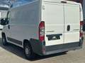 Citroen Jumper Kasten 30 L1H1 HDi 100/SERVICE NEU/RADIO Alb - thumbnail 4