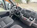 Citroen Jumper Kasten 30 L1H1 HDi 100/SERVICE NEU/RADIO Alb - thumbnail 9