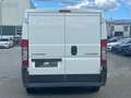 Citroen Jumper Kasten 30 L1H1 HDi 100/SERVICE NEU/RADIO Alb - thumbnail 5